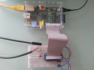 Raspberry Pi mit angeschlossenem 1-Wire DS18B20 Temperatursensor